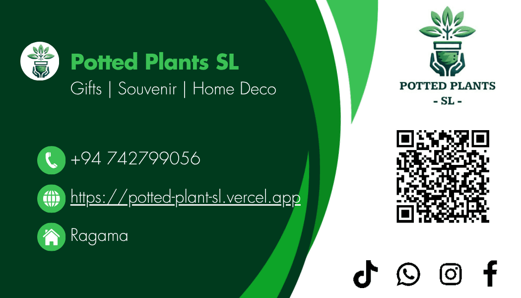 Visiting card design 5